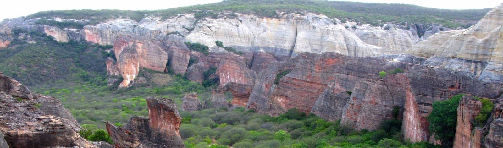 Projeto Caatinga