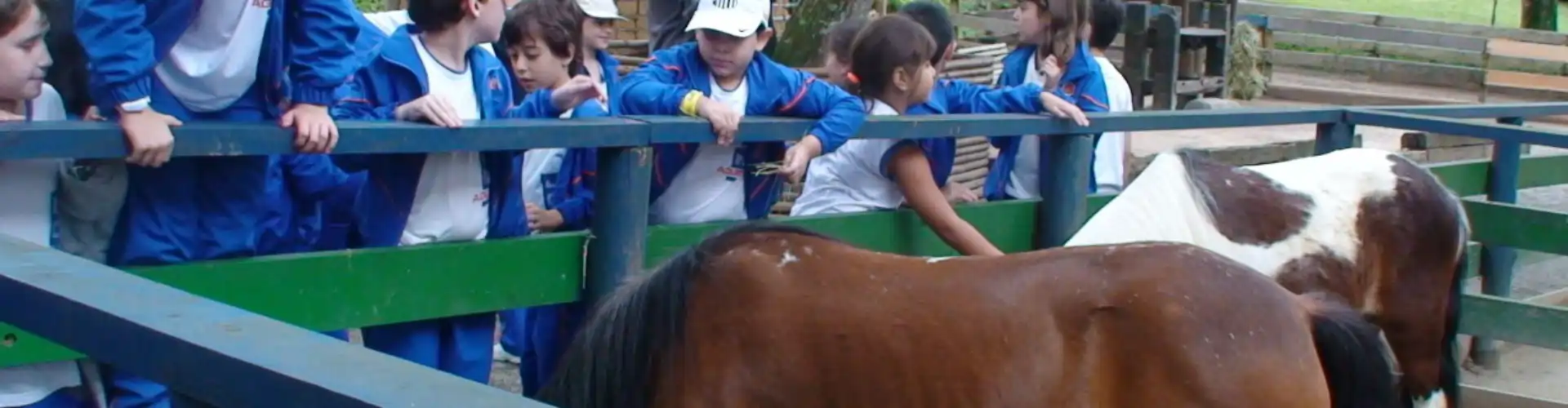 Projeto Pantanal - Educar Turismo Pedagógico