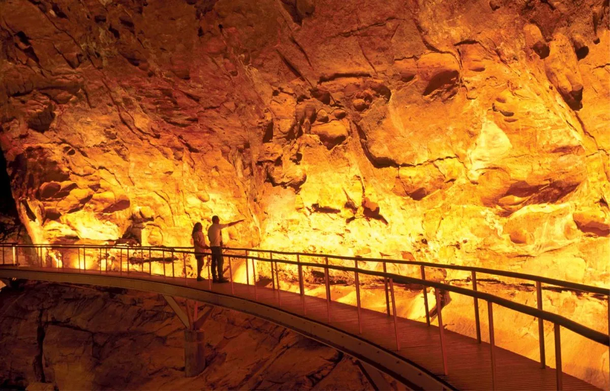 Capa do projeto Caatinga