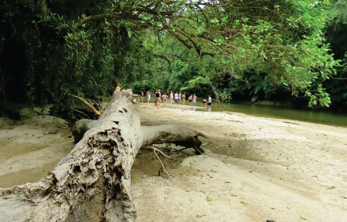 Capa do projeto Canoagem pelo Mangue