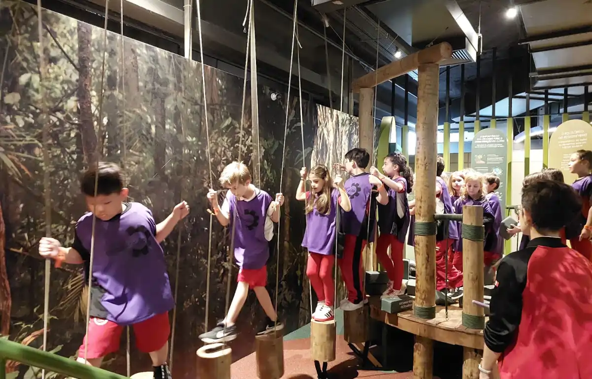 Capa do projeto Museu da Imaginação