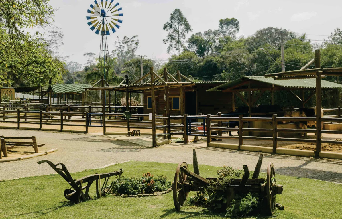 Capa do projeto Petzoo