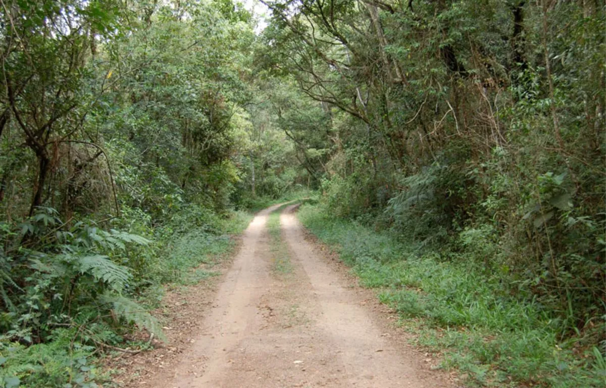 Capa do projeto Serra do Japi