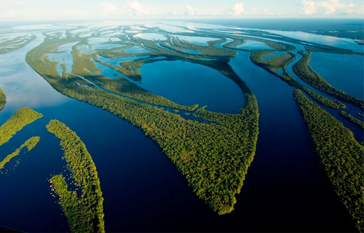 Projeto Amazônia - Educar Turismo Pedagógico