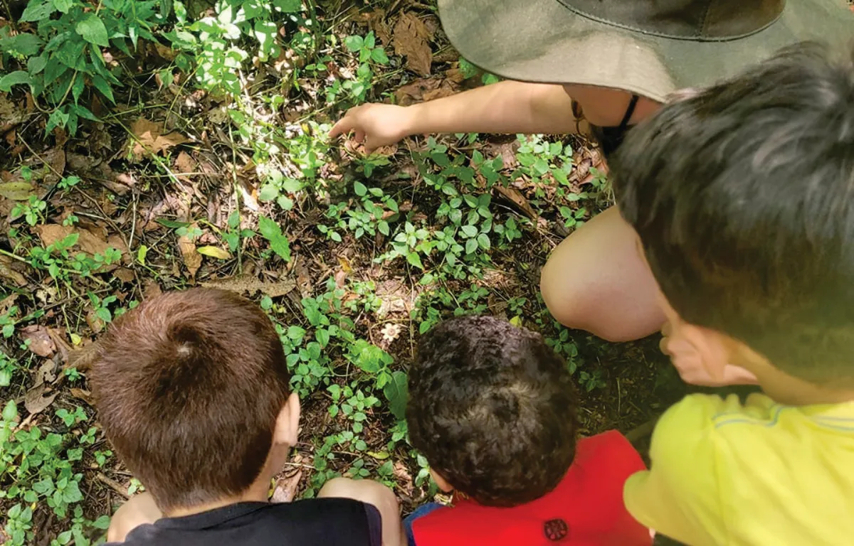 Fazenda Angolana - Educar Turismo Pedagógico