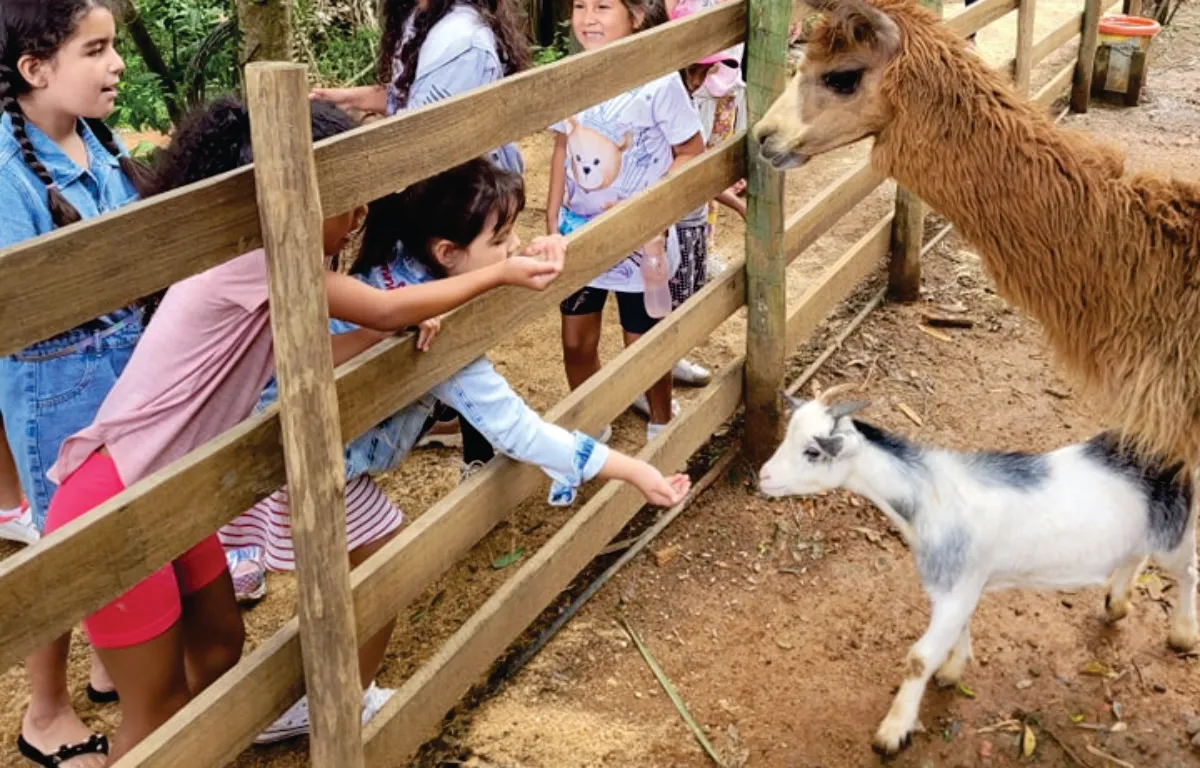 Fazenda Angolana - Educar Turismo Pedagógico