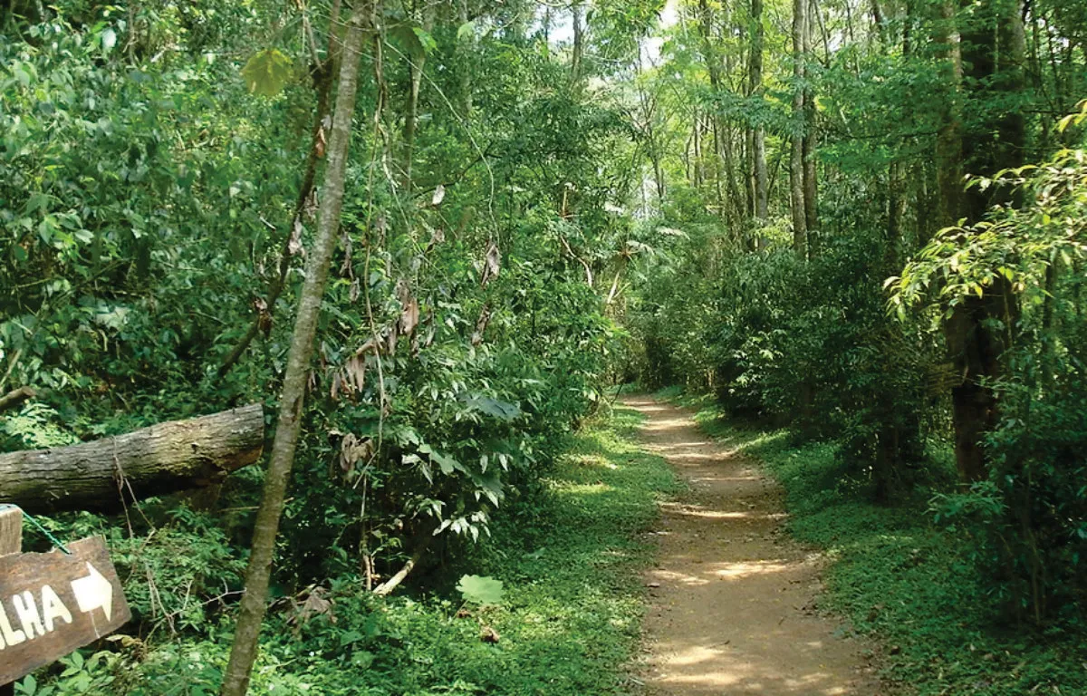 Fazenda Angolana - Educar Turismo Pedagógico