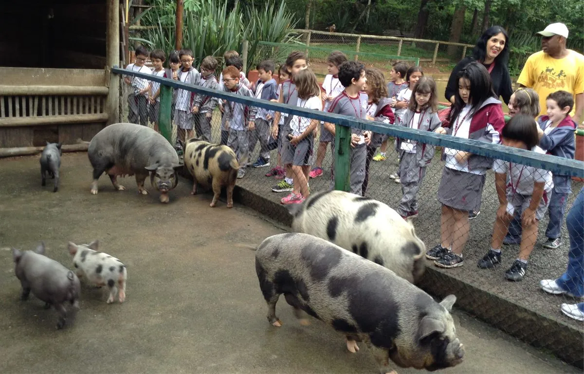 Cia dos Bichos - Educar Turismo Pedagógico