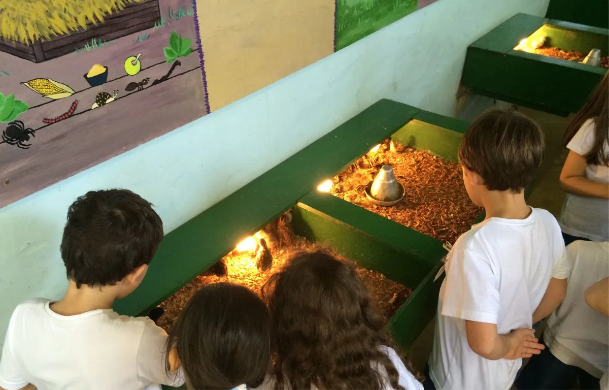 Cia dos Bichos - Educar Turismo Pedagógico