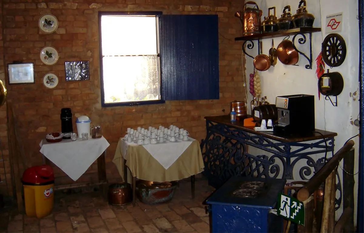 Fazenda de Café - Educar Turismo Pedagógico