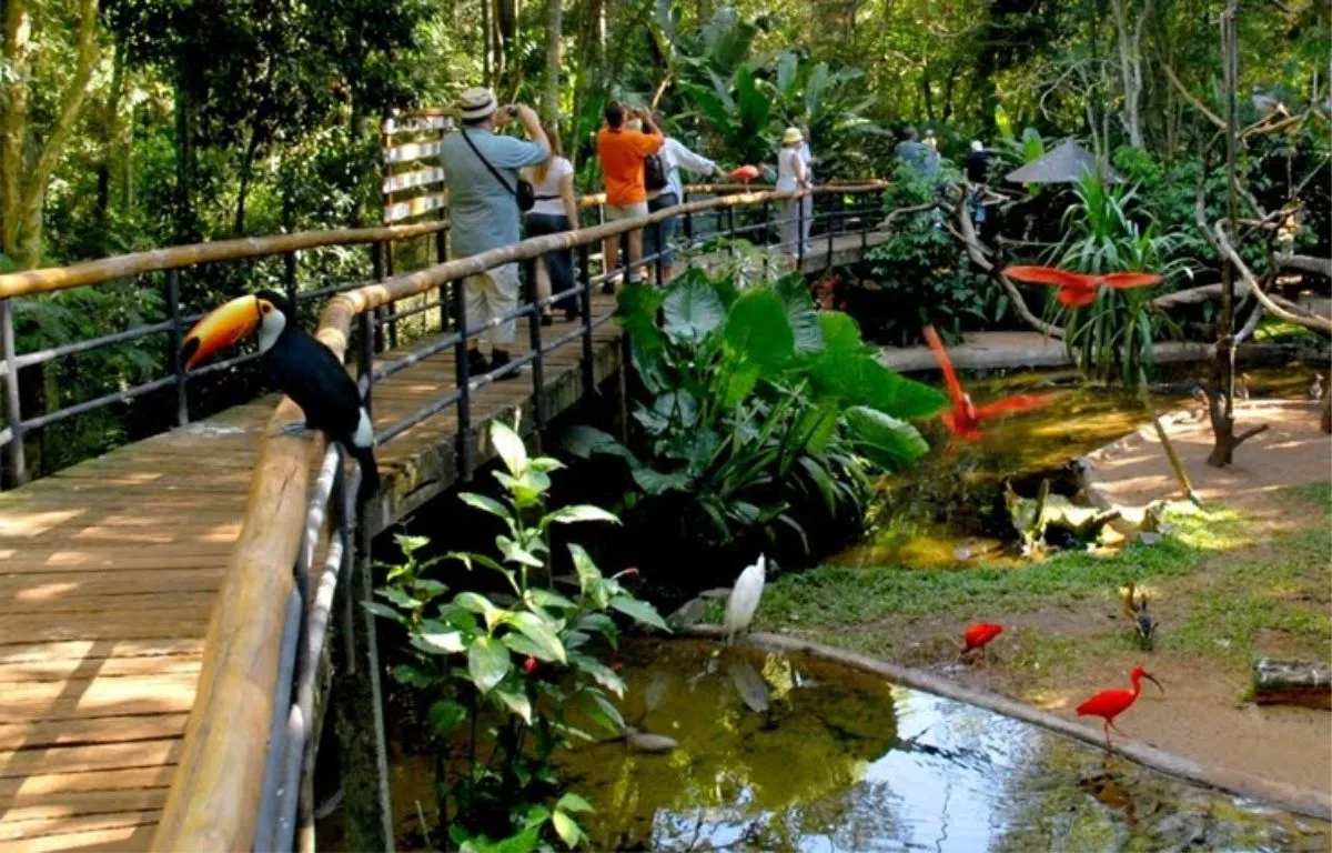Projeto Foz do Iguaçu - Educar Turismo Pedagógico