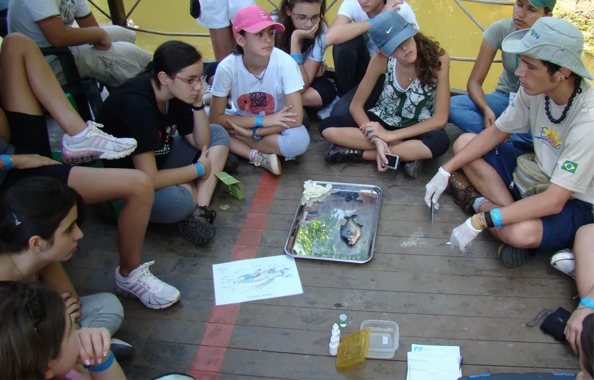 Imagem do Projeto