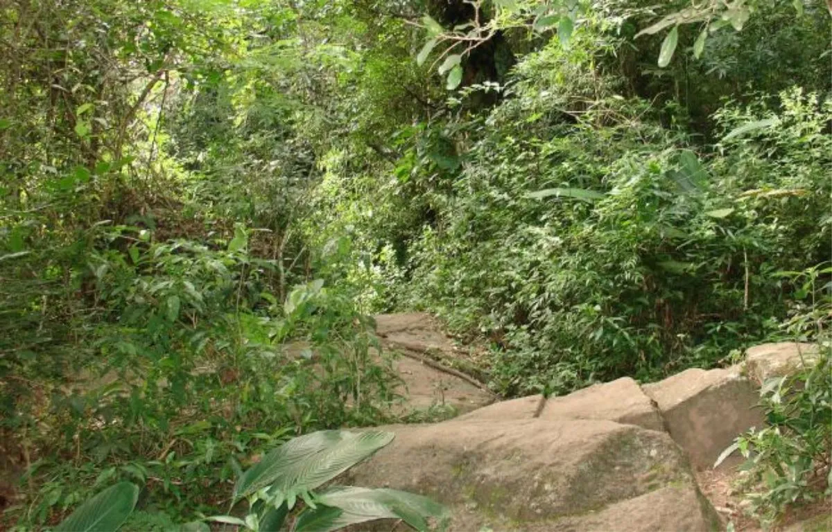 Projeto Serra do Japi - Educar Turismo Pedagógico