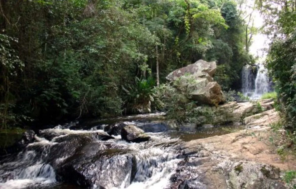 Projeto Serra do Japi - Educar Turismo Pedagógico