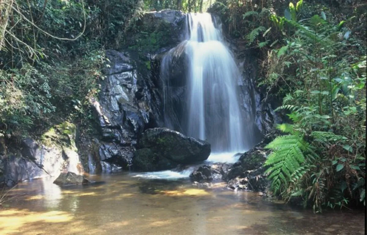 Projeto Serra do Japi - Educar Turismo Pedagógico