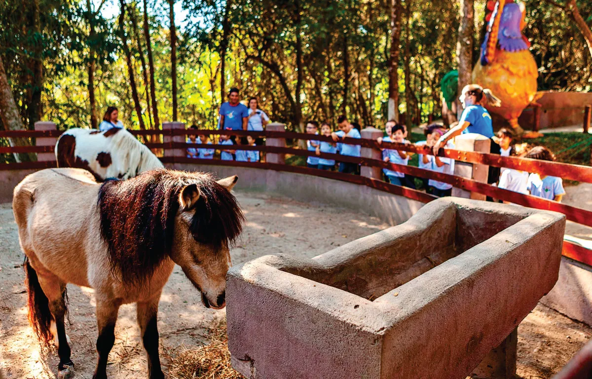 Sitiolândia - Educar Turismo Pedagógico