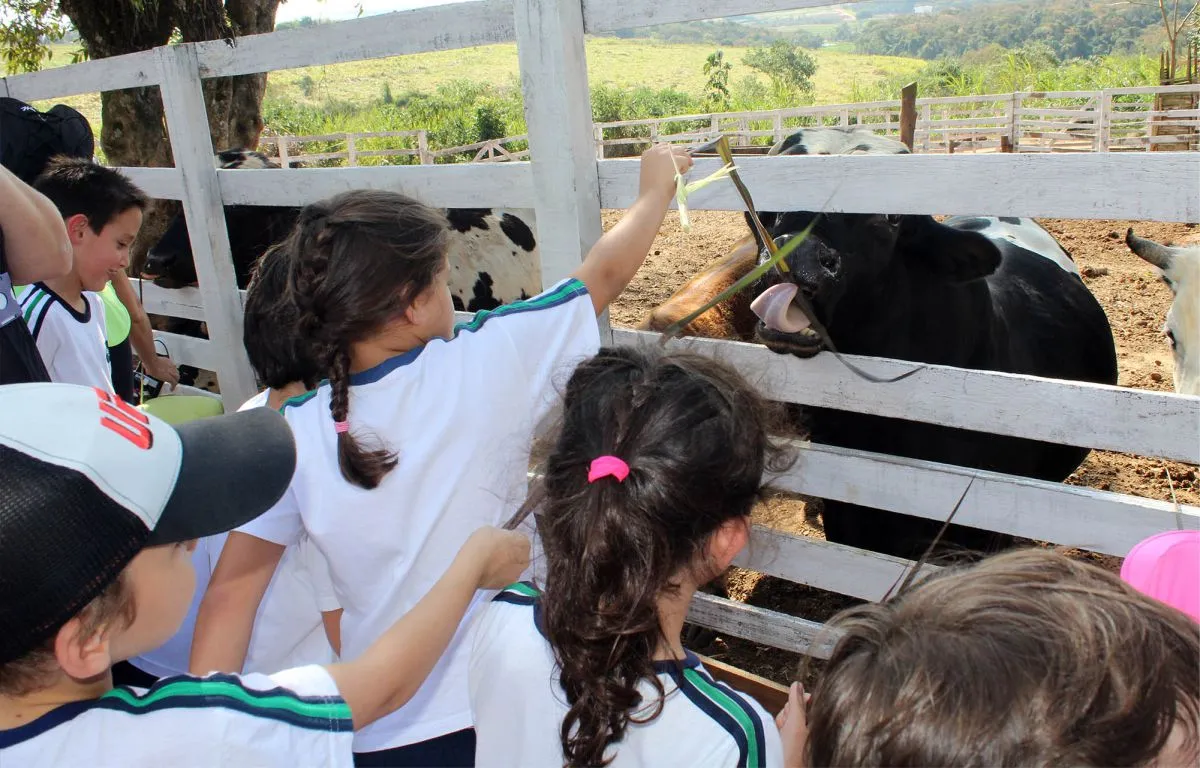 Terra de Gigantes - Educar Turismo Pedagógico