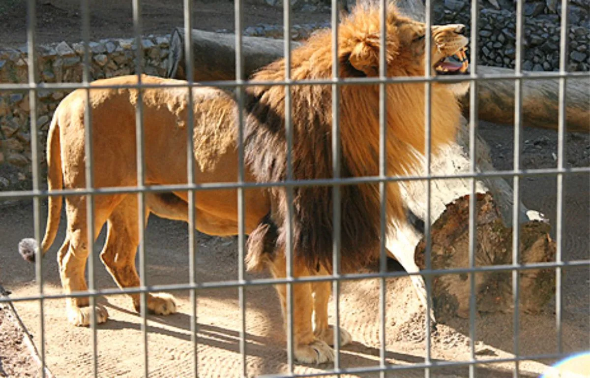 Zoológico de Sorocaba - Educar Turismo Pedagógico