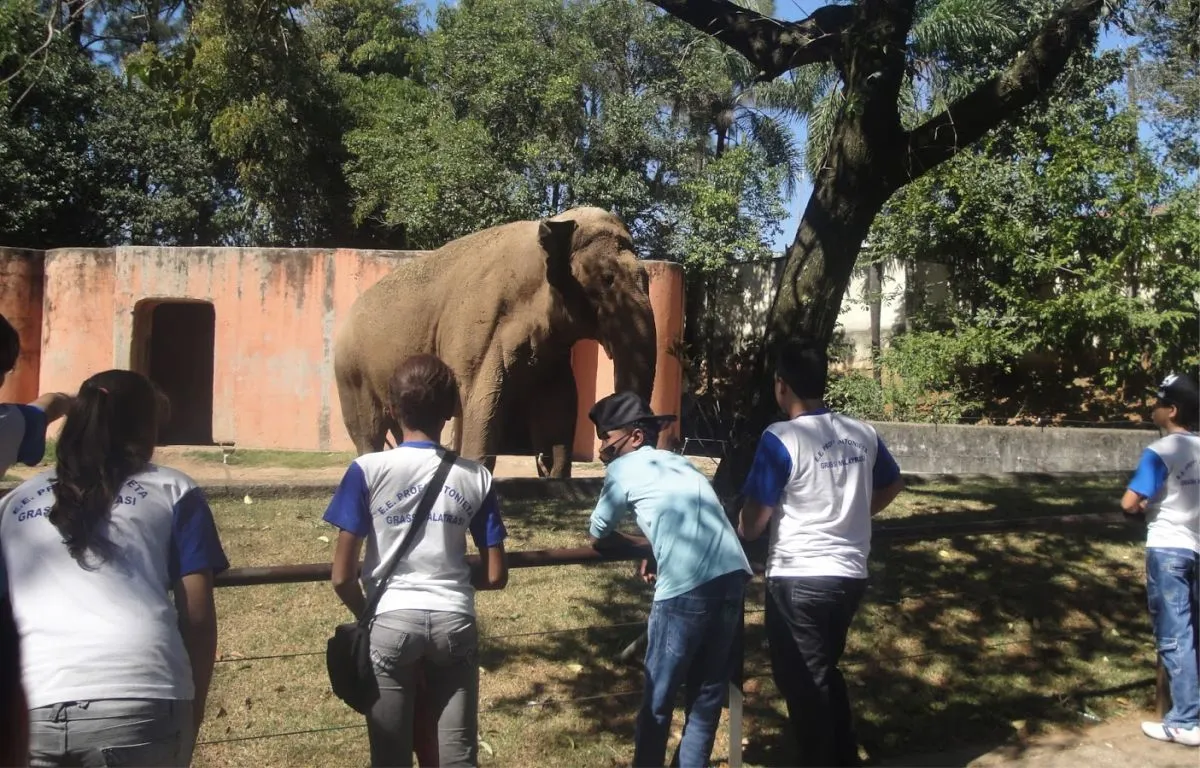 Zoológico de Sorocaba - Educar Turismo Pedagógico
